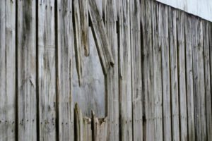 Signs You Need to Replace Your Fence